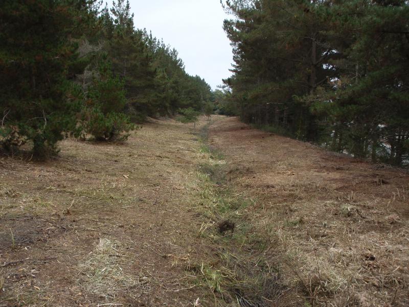 Highway 1 Easement After
